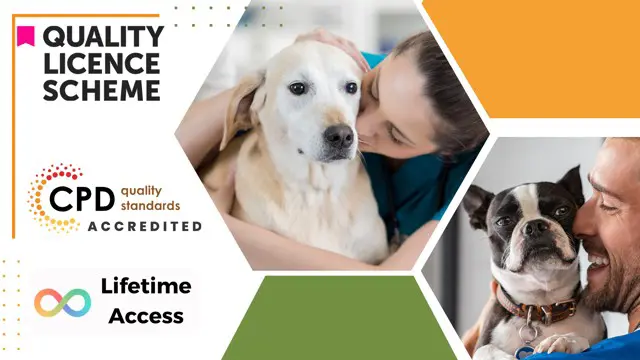 Dog Behaviour Level 5 Diploma - CPD Certified 