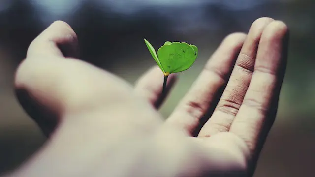 Life Coaching Diploma Training