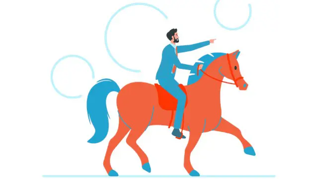 Horse Care and Stable Management