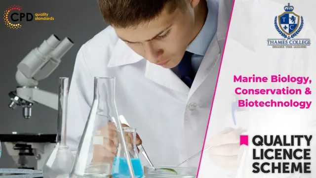 Marine Biology, Conservation and Biotechnology - Endorsed Certificate