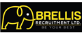 BRELLIS RECRUITMENT LIMITED jobs